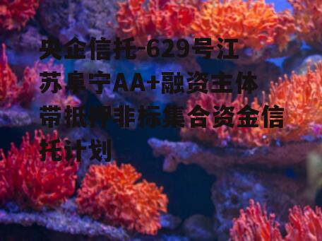 央企信托-629号江苏阜宁AA+融资主体带抵押非标集合资金信托计划