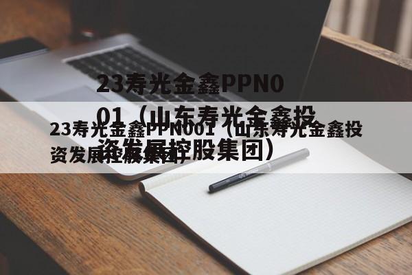 23寿光金鑫PPN001（山东寿光金鑫投资发展控股集团）