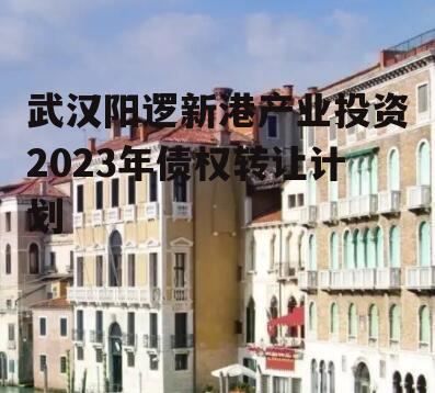 武汉阳逻新港产业投资2023年债权转让计划