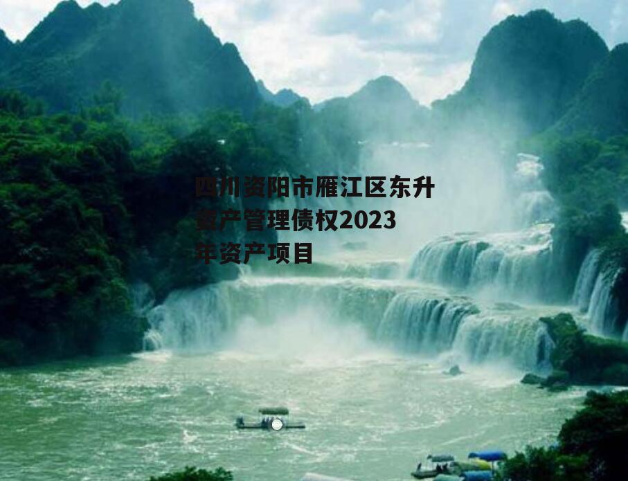 四川资阳市雁江区东升资产管理债权2023年资产项目