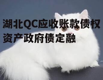 湖北QC应收账款债权资产政府债定融