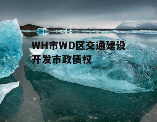 WH市WD区交通建设开发市政债权