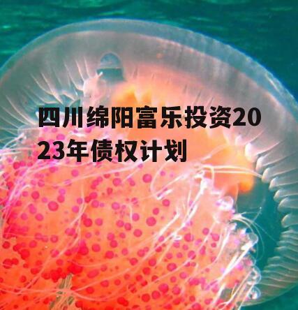 四川绵阳富乐投资2023年债权计划