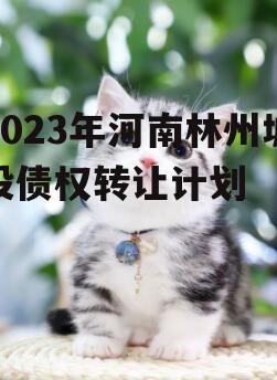 2023年河南林州城投债权转让计划