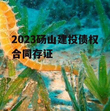 2023砀山建投债权合同存证