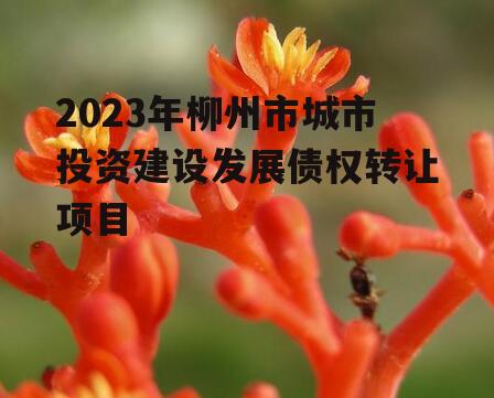 2023年柳州市城市投资建设发展债权转让项目