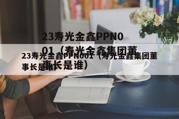 23寿光金鑫PPN001（寿光金鑫集团董事长是谁）