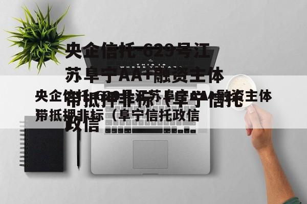 央企信托-629号江苏阜宁AA+融资主体带抵押非标（阜宁信托政信
）