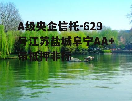 A级央企信托-629号江苏盐城阜宁AA+带抵押非标