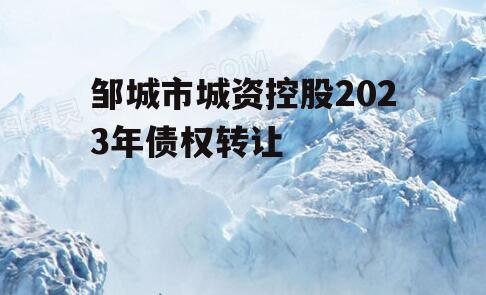 邹城市城资控股2023年债权转让