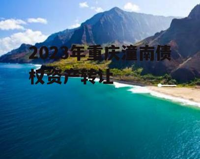 2023年重庆潼南债权资产转让