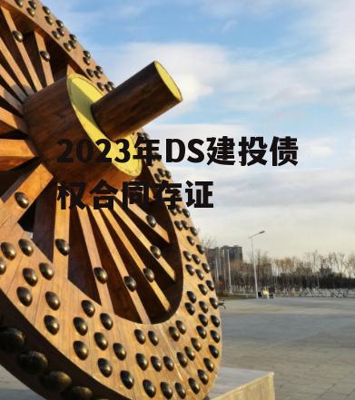 2023年DS建投债权合同存证