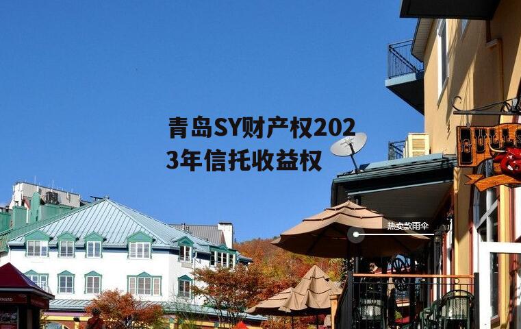 青岛SY财产权2023年信托收益权