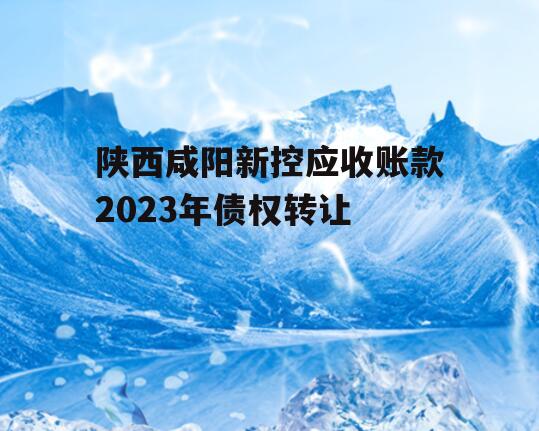 陕西咸阳新控应收账款2023年债权转让