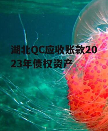 湖北QC应收账款2023年债权资产