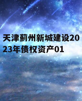 天津蓟州新城建设2023年债权资产01