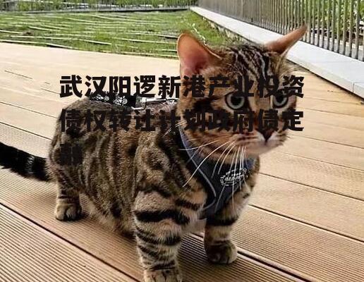 武汉阳逻新港产业投资债权转让计划政府债定融