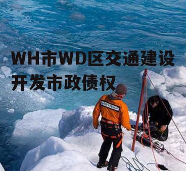 WH市WD区交通建设开发市政债权