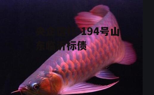 央企信托-194号山东临沂标债