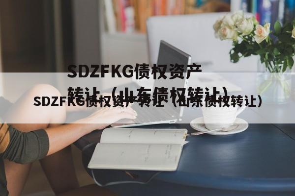 SDZFKG债权资产转让（山东债权转让）