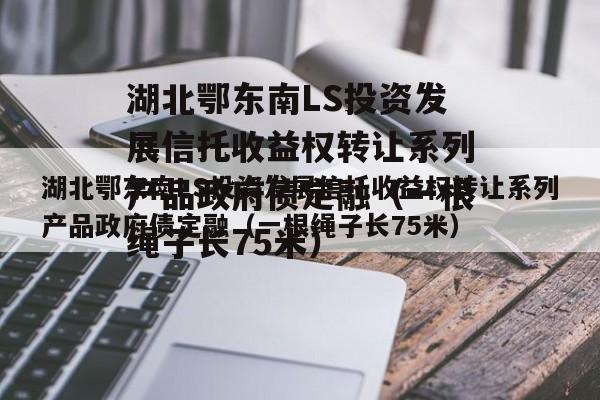 湖北鄂东南LS投资发展信托收益权转让系列产品政府债定融（一根绳子长75米）