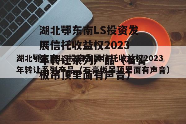 湖北鄂东南LS投资发展信托收益权2023年转让系列产品（石膏板吊顶里面有声音）