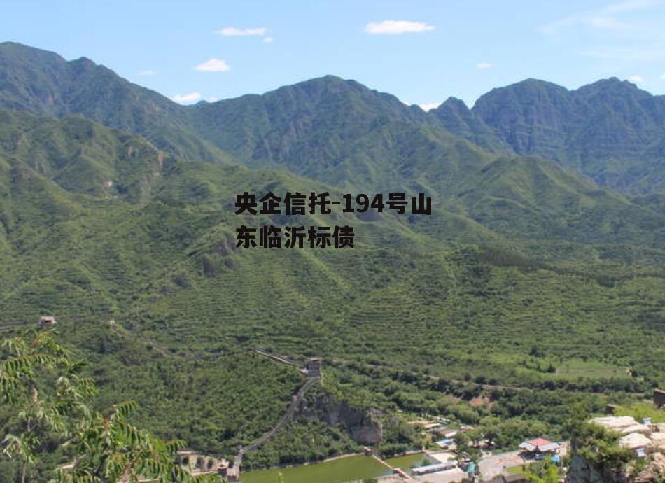 央企信托-194号山东临沂标债