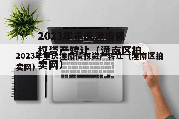 2023年重庆潼南债权资产转让（潼南区拍卖网）