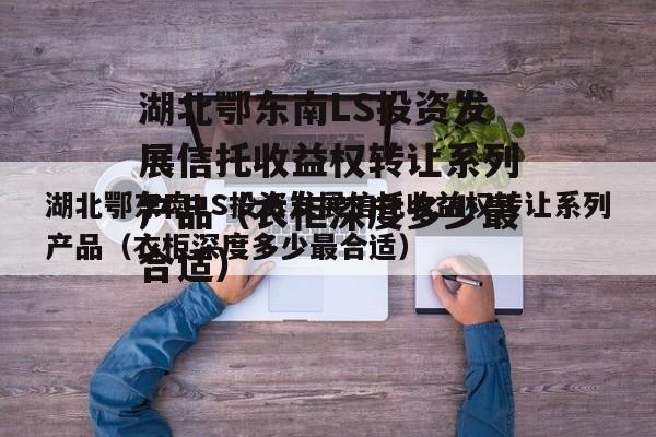 湖北鄂东南LS投资发展信托收益权转让系列产品（衣柜深度多少最合适）