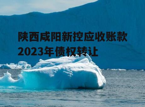 陕西咸阳新控应收账款2023年债权转让