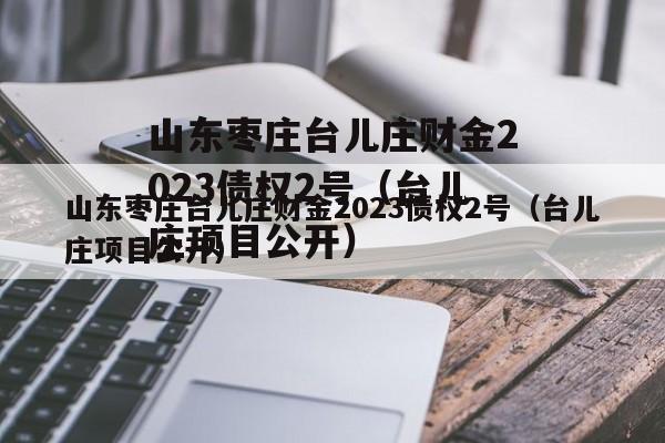 山东枣庄台儿庄财金2023债权2号（台儿庄项目公开）