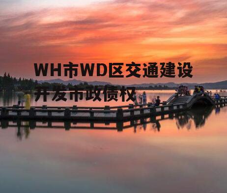 WH市WD区交通建设开发市政债权