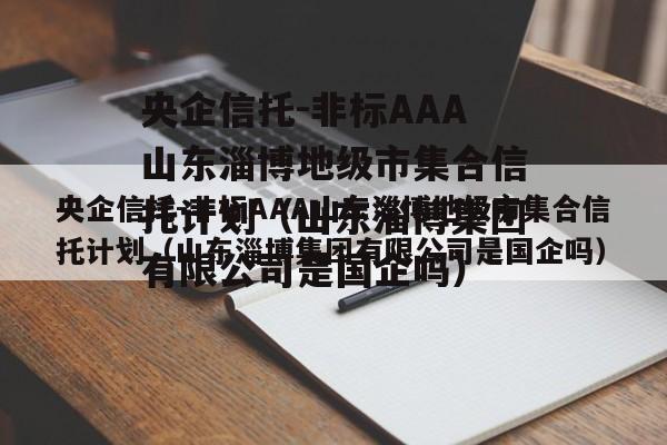 央企信托-非标AAA山东淄博地级市集合信托计划（山东淄博集团有限公司是国企吗）