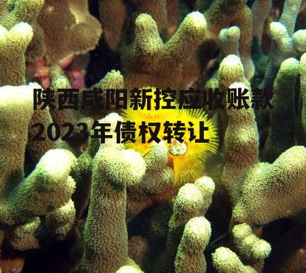 陕西咸阳新控应收账款2023年债权转让