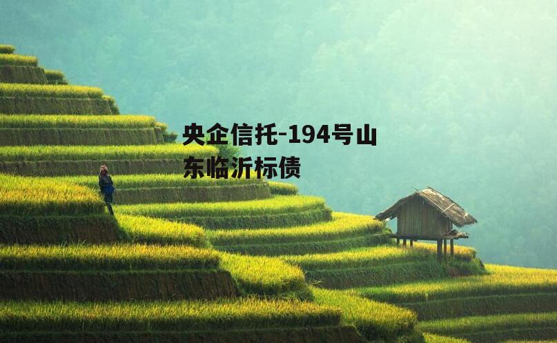 央企信托-194号山东临沂标债