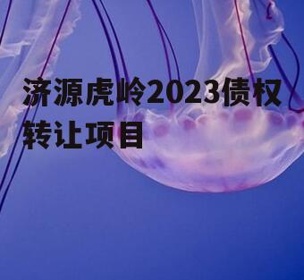 济源虎岭2023债权转让项目