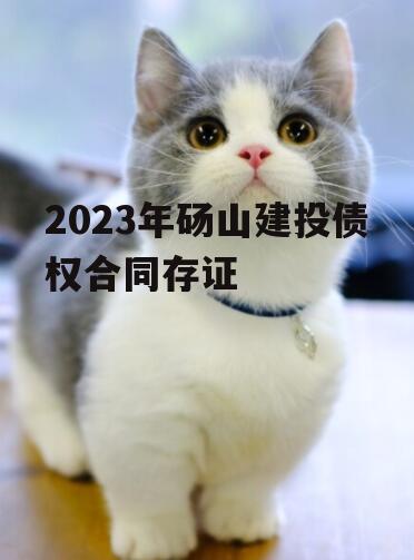 2023年砀山建投债权合同存证