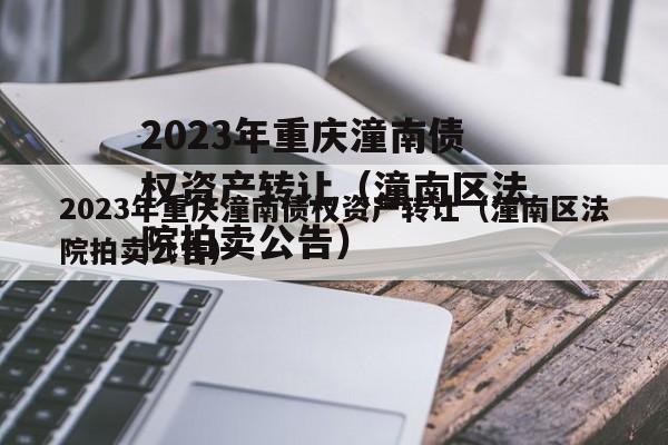 2023年重庆潼南债权资产转让（潼南区法院拍卖公告）