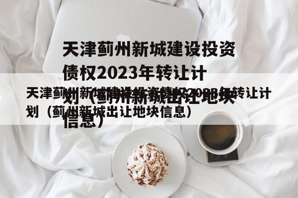 天津蓟州新城建设投资债权2023年转让计划（蓟州新城出让地块信息）