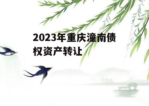 2023年重庆潼南债权资产转让