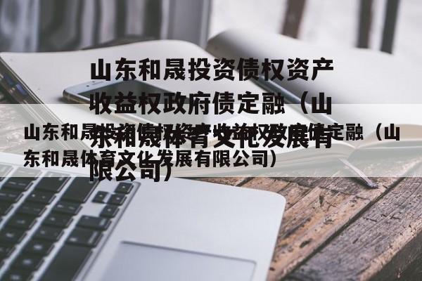 山东和晟投资债权资产收益权政府债定融（山东和晟体育文化发展有限公司）