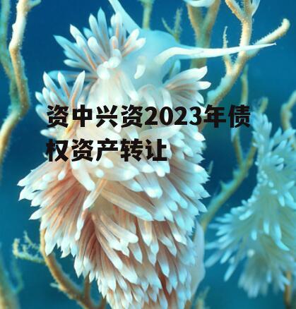 资中兴资2023年债权资产转让