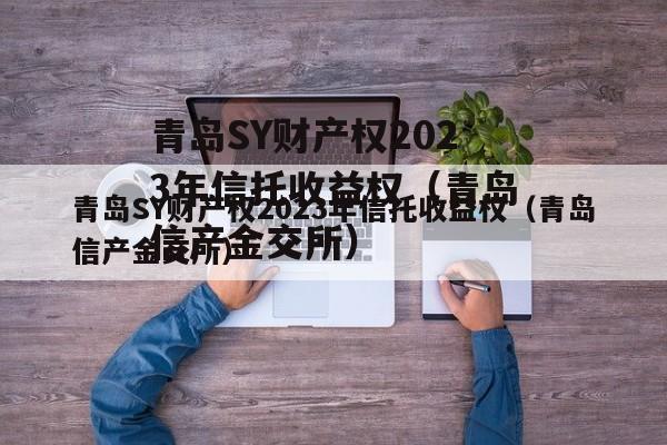 青岛SY财产权2023年信托收益权（青岛信产金交所）