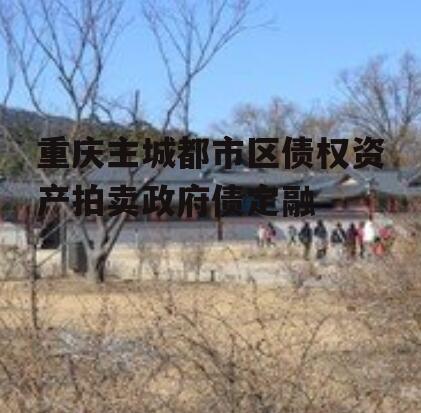 重庆主城都市区债权资产拍卖政府债定融