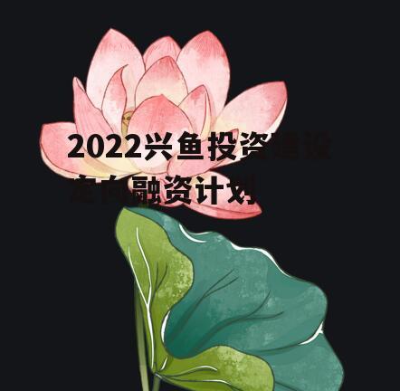 2022兴鱼投资建设定向融资计划