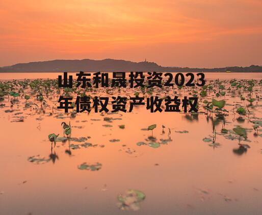 山东和晟投资2023年债权资产收益权