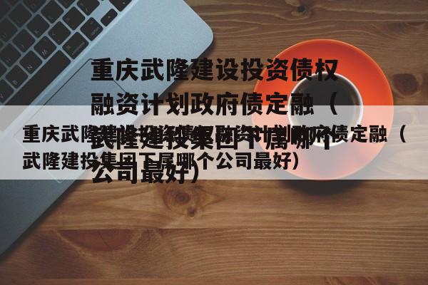 重庆武隆建设投资债权融资计划政府债定融（武隆建投集团下属哪个公司最好）