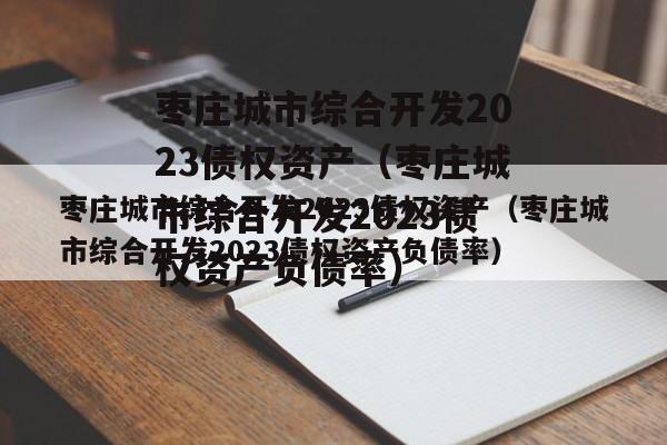 枣庄城市综合开发2023债权资产（枣庄城市综合开发2023债权资产负债率）