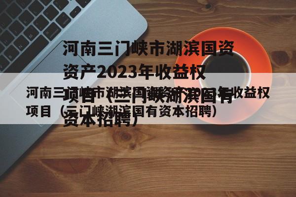 河南三门峡市湖滨国资资产2023年收益权项目（三门峡湖滨国有资本招聘）