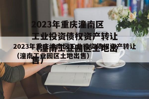 2023年重庆潼南区工业投资债权资产转让（潼南工业园区土地出售）